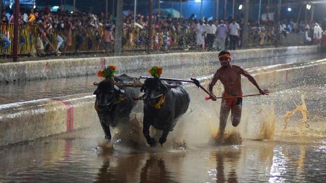 ಡಿ.30ರಂದು 7ನೇ ಆವೃತ್ತಿಯ ಮಂಗಳೂರು ಕಂಬಳ, ರೀಲ್ಸ್ ಸ್ಪರ್ಧೆ ಸಹ ಉಂಟು