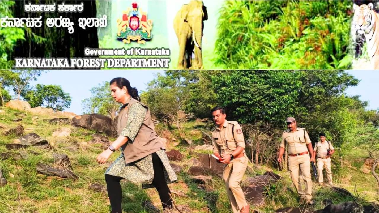 KFD Recruitment 2023: 540 ಫಾರೆಸ್ಟ್ ಗಾರ್ಡ್‌ ಹುದ್ದೆಗಳಿಗೆ ಆನ್‌ಲೈನ್‌ನಲ್ಲಿ ಅರ್ಜಿ ಸಲ್ಲಿಸಿ