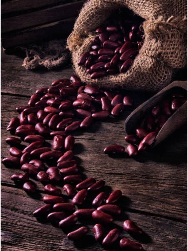 ರುಚಿಗೆ ಮಾತ್ರವಲ್ಲ ಆರೋಗ್ಯಕ್ಕೂ ಕಿಡ್ನಿ ಬೀನ್ಸ್ ಅತ್ಯುತ್ತಮ ಆಹಾರ TV9 Kannada