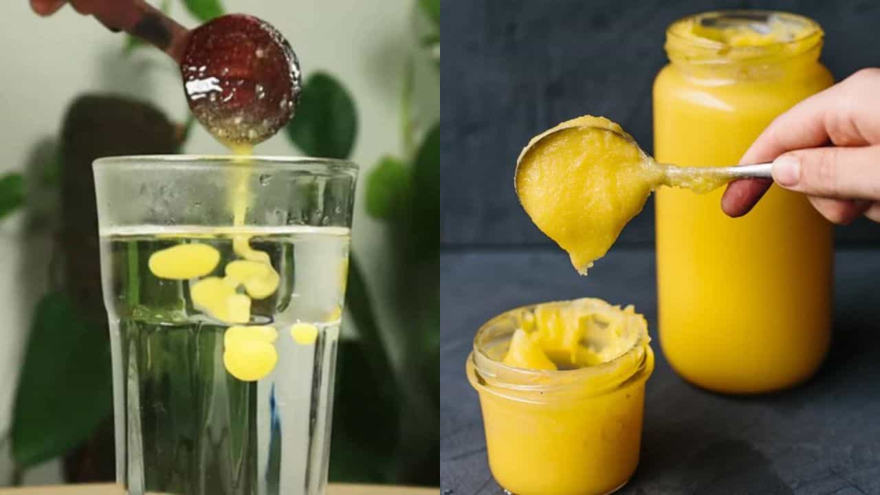 Healthy Eating: ಪ್ರತಿದಿನ ಬೆಳಿಗ್ಗೆ ತುಪ್ಪವನ್ನು ಬೆಚ್ಚಗಿನ ನೀರಿನೊಂದಿಗೆ ಕುಡಿಯಬೇಕು ಯಾಕೆ? ಇಲ್ಲಿದೆ ಆರೋಗ್ಯ ಪ್ರಯೋಜನ Healthy Eating: ಪ್ರತಿದಿನ ಬೆಳಿಗ್ಗೆ ತುಪ್ಪವನ್ನು ಬೆಚ್ಚಗಿನ ನೀರಿನೊಂದಿಗೆ ಕುಡಿಯಬೇಕು ಯಾಕೆ? ಇಲ್ಲಿದೆ ಆರೋಗ್ಯ ಪ್ರಯೋಜನ
