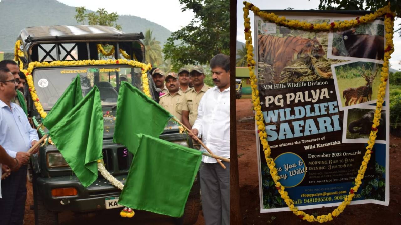 ಮಲೆ ಮಹದೇಶ್ವರ ವನ್ಯಧಾಮದಲ್ಲಿ ಸಫಾರಿ ಆರಂಭ: ಸಫಾರಿ ಸಮಯ, ದರ ವಿವರ ಇಲ್ಲಿದೆ