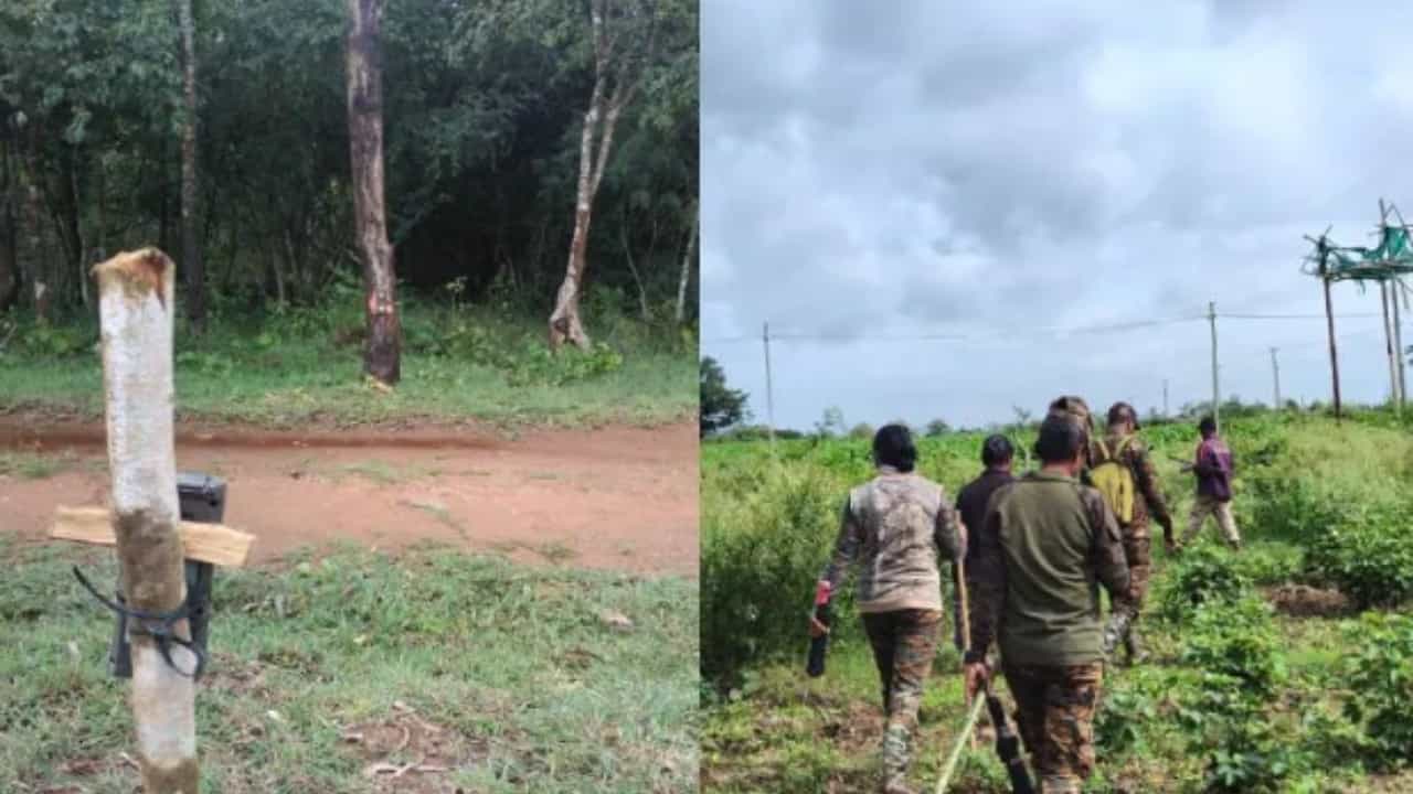 ಮೈಸೂರು: ಅರಣ್ಯ ಇಲಾಖೆ ಸಿಬ್ಬಂದಿ ಹರಸಾಸಹ, 15 ದಿನವಾದರೂ ಸೆರೆ ಸಿಕ್ಕದ ಹುಲಿ ಮೈಸೂರು: ಅರಣ್ಯ ಇಲಾಖೆ ಸಿಬ್ಬಂದಿ ಹರಸಾಸಹ, 15 ದಿನವಾದರೂ ಸೆರೆ ಸಿಕ್ಕದ ಹುಲಿ