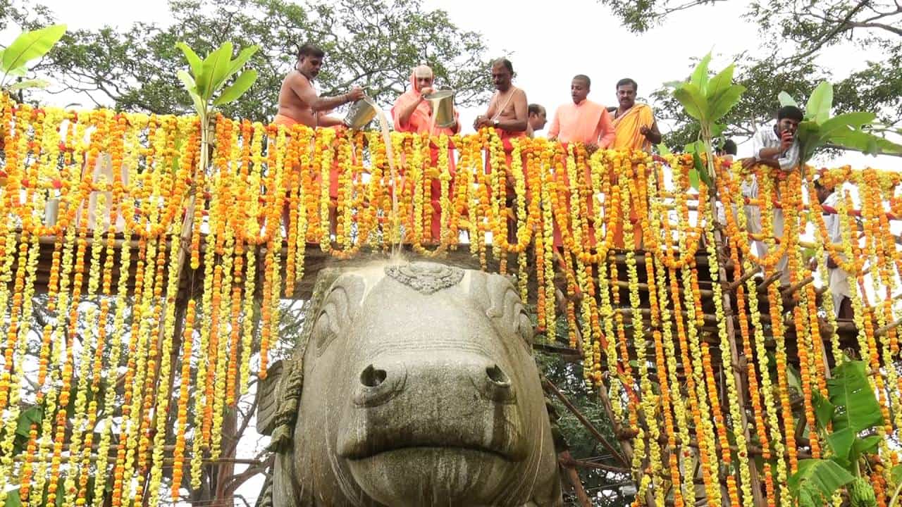 ಮೈಸೂರಿನ ಚಾಮುಂಡಿ ಬೆಟ್ಟದ ಮೇಲಿರುವ ನಂದಿ ವಿಗ್ರಹಕ್ಕೆ ಇಂದು ವಿಜೃಂಭಣೆಯಿಂದ ಮಹಾಭಿಷೇಕ ನಡೆಯಿತು. ಬೆಟ್ಟದ ಬಳಗ ಚಾರಿಟಬಲ್ ಟ್ರಸ್ಟ್ ವತಿಯಿಂದ ಲೋಕ ಕಲ್ಯಾಣಕ್ಕಾಗಿ ಪ್ರತಿವರ್ಷದಂತೆ ಈ ವರ್ಷವೂ ಮಹಾಭಿಷೇಕ ಕಾರ್ಯಕ್ರಮ ಆಯೋಜಿಸಲಾಗಿತ್ತು.