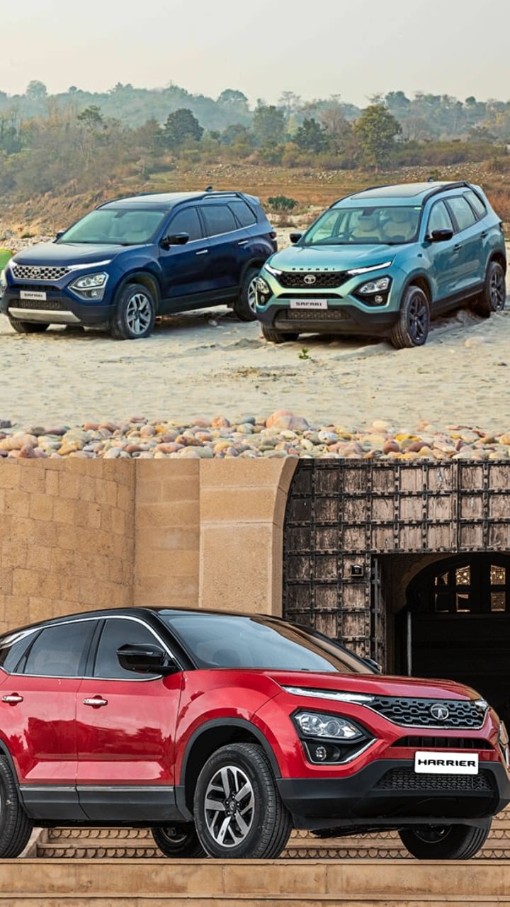 New Cars (16)