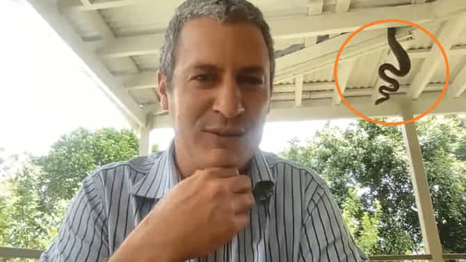 ಆನ್‌ಲೈನ್ ಮೀಟಿಂಗ್‌ನಲ್ಲಿ ಬ್ಯುಸಿಯಾದ ಉದ್ಯೋಗಿ, ಹಿಂದಿನಿಂದ ಬಂತು ಹೆಬ್ಬಾವು