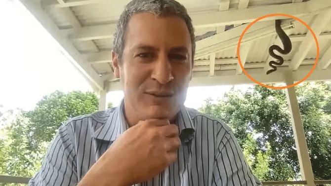 ಆನ್ಲೈನ್ ಮೀಟಿಂಗ್ನಲ್ಲಿ ಬ್ಯುಸಿಯಾದ ಉದ್ಯೋಗಿ, ಹಿಂದಿನಿಂದ ಬಂತು ಹೆಬ್ಬಾವು ಆನ್ಲೈನ್ ಮೀಟಿಂಗ್ನಲ್ಲಿ ಬ್ಯುಸಿಯಾದ ಉದ್ಯೋಗಿ, ಹಿಂದಿನಿಂದ ಬಂತು ಹೆಬ್ಬಾವು