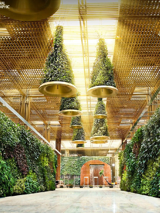 ಬೆಂಗಳೂರು ಏರ್‌ಪೋರ್ಟ್‌ನ ಟರ್ಮಿನಲ್‌ 2 ಒಳಾಂಗಣ ವಿನ್ಯಾಸಕ್ಕೆ ವಿಶ್ವ ಮನ್ನಣೆ