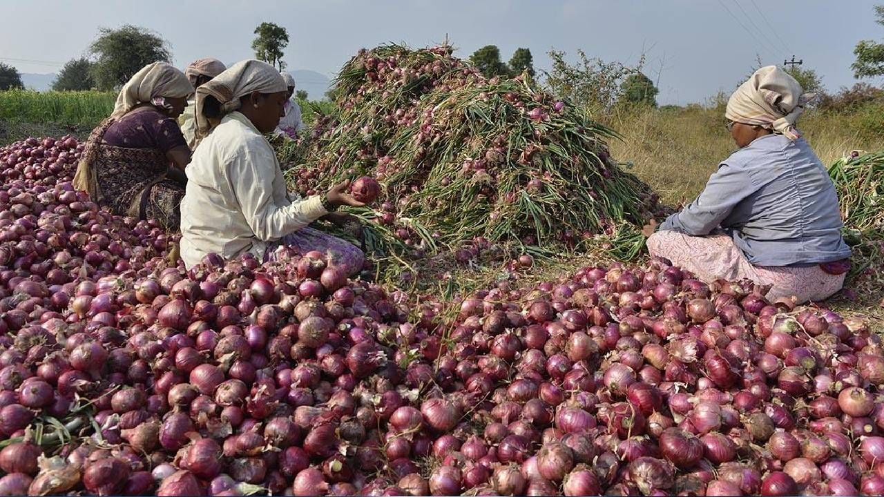 Onion Export Ban: ಮಾರ್ಚ್​ವರೆಗೂ ಈರುಳ್ಳಿ ರಫ್ತು ನಿಷೇಧ; ಕೇಂದ್ರ ಸರ್ಕಾರದ ಕ್ರಮಕ್ಕೆ ಮಹಾರಾಷ್ಟ್ರದಲ್ಲಿ ವಿರೋಧ