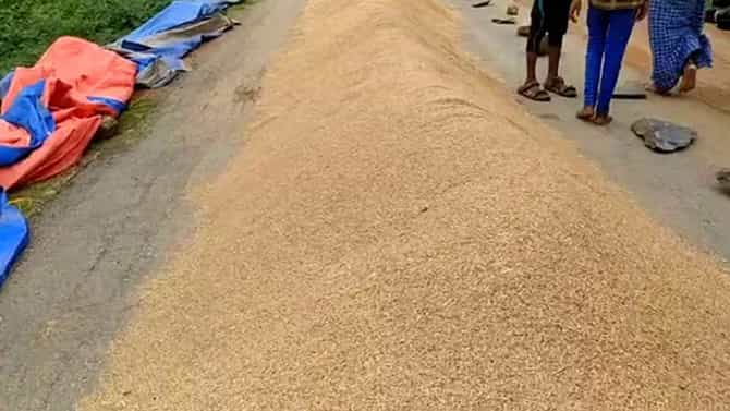 ಮಂಡ್ಯ: ಸರ್ಕಾರದ ನಿರ್ಲಕ್ಷ್ಯದಿಂದ ಸೃಷ್ಟಿಯಾಗುತ್ತಾ ಅಕ್ಕಿಯ ಕೃತಕ ಅಭಾವ?