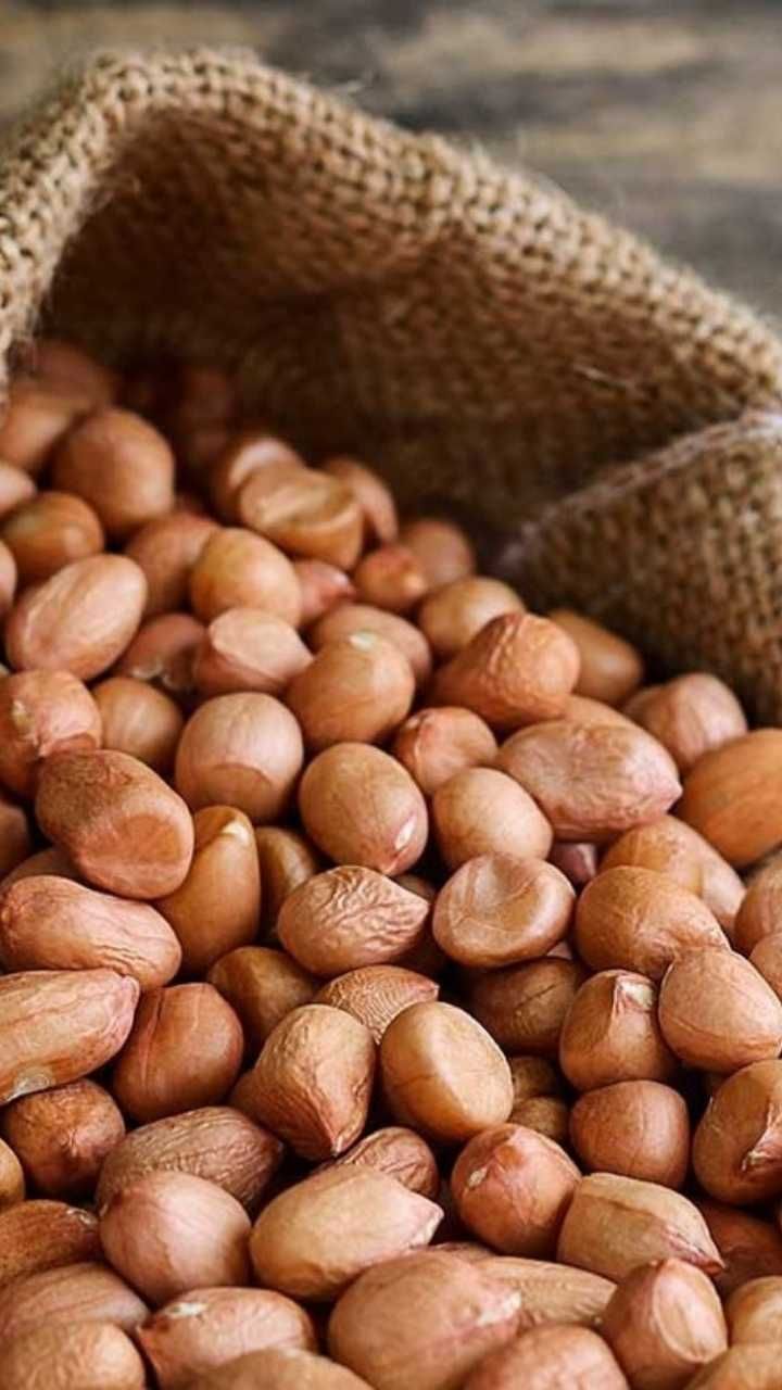 ಅಸಿಡಿಟಿ ಸಮಸ್ಯೆ ಇರುವವರು ಶೇಂಗಾ ತಿನ್ನಬಾರದು.