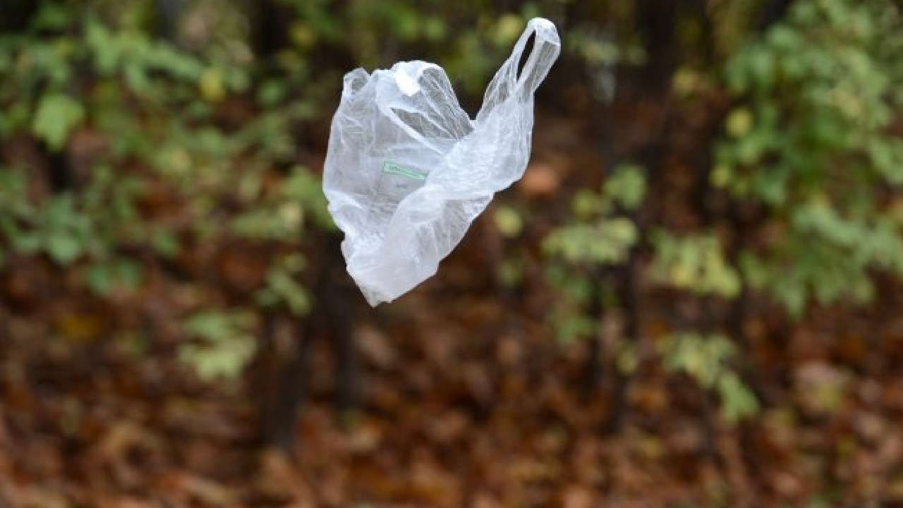 BBMP Officers sized 200 kg plastic in kadalekai parishe