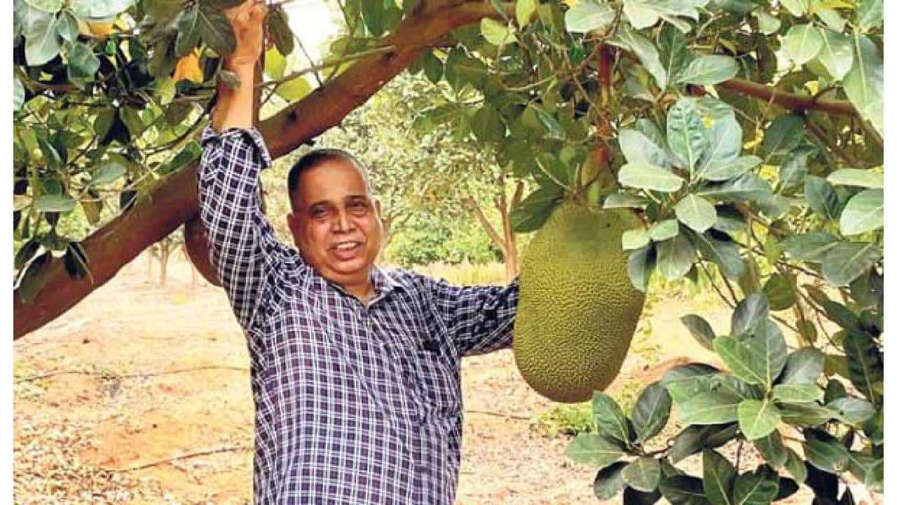 ಕೇಂದ್ರ ಸರ್ಕಾರದ ಬಿಲಿಯೇನರ್ ರೈತ ಪ್ರಶಸ್ತಿಗೆ ಆಯ್ಕೆಯಾದ ಕುಂದಾಪುರದ ರಮೇಶ್ ನಾಯಕ್ ಕೇಂದ್ರ ಸರ್ಕಾರದ ಬಿಲಿಯೇನರ್ ರೈತ ಪ್ರಶಸ್ತಿಗೆ ಆಯ್ಕೆಯಾದ ಕುಂದಾಪುರದ ರಮೇಶ್ ನಾಯಕ್