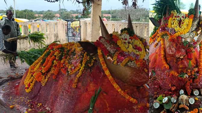 ಜಾನುವಾರು ಯೋಗಕ್ಷೇಮ ಬಯಸಿ ಕಾರ್ತಿಕ ಮಾಸದಲ್ಲಿ ಬಯಲು ಬಸವೇಶ್ವರನಿಗೆ ಪೂಜೆ