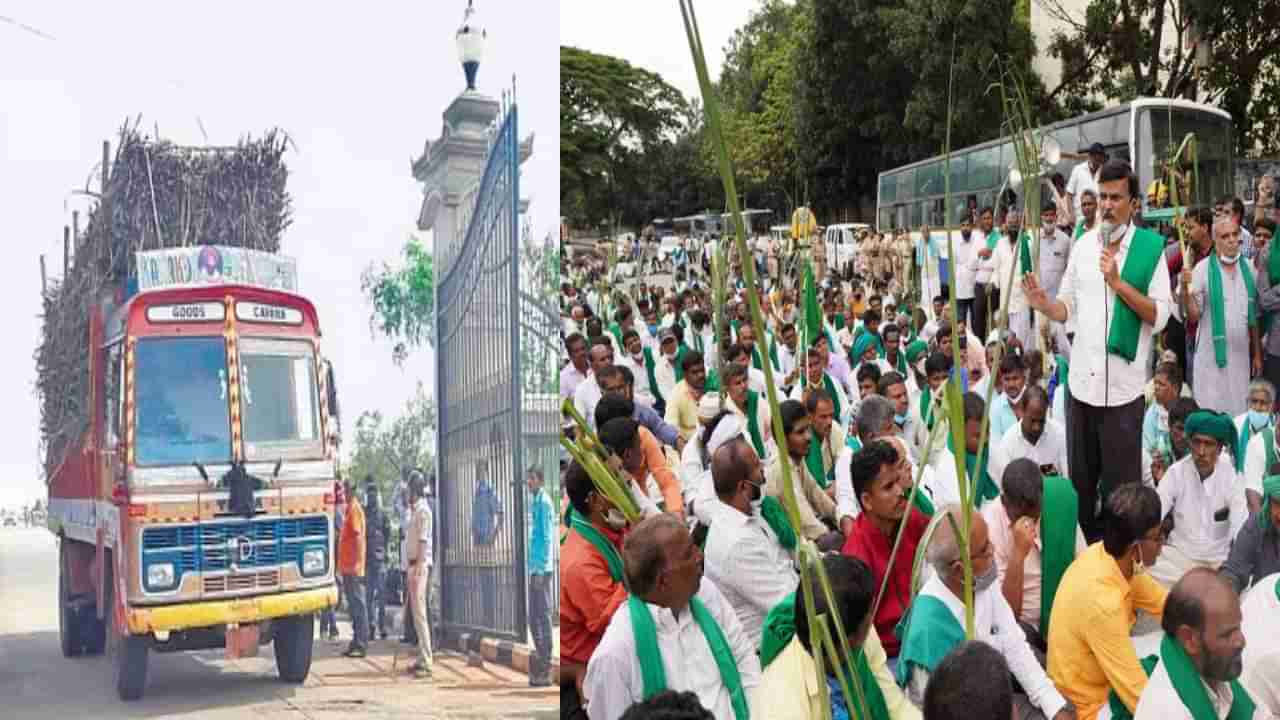 ದರ ನಿಗದಿಯಲ್ಲಿ ಕಾರ್ಖಾನೆ ಮಾಲೀಕರು, ರೈತರ ಮಧ್ಯೆ ಶೀತಲ ಸಮರ; ಮತ್ತೆ ಶುರುವಾಗುತ್ತಾ ಕಬ್ಬು ಹೋರಾಟ?