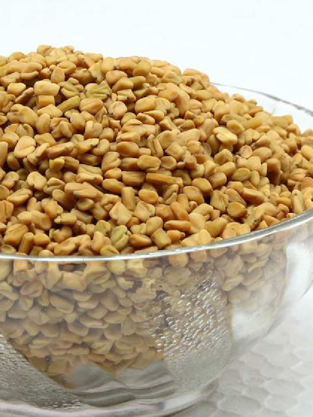 ಮೆಂತ್ಯ ಬೀಜಗಳ ಸೇವನೆಯಿಂದ ಎಷ್ಟೆಲ್ಲಾ ಪ್ರಯೋಜನಗಳಿವೆ ಗೊತ್ತಾ? TV9 Kannada