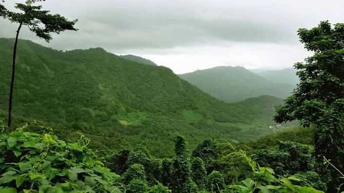 ಚಿಕ್ಕಮಗಳೂರಿನಲ್ಲಿ ಇಂದಿನಿಂದ ಸರ್ಕಾರಿ ಭೂಮಿ, ಅರಣ್ಯ ಭೂಮಿಗಳ ಸರ್ವೆ ಕಾರ್ಯ