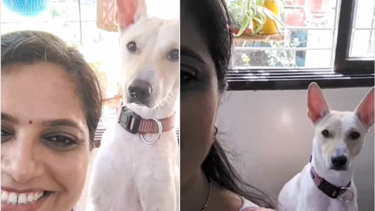 Viral Video: ಒನ್ ಸೆಲ್ಫಿ, ಸ್ಮೈಲ್ ಪ್ಲೀಸ್: ಸೆಲ್ಫಿಗೆ ಸಖತ್ ಪೋಸ್ ಕೊಟ್ಟ ಶ್ವಾನ Viral Video: ಒನ್ ಸೆಲ್ಫಿ, ಸ್ಮೈಲ್ ಪ್ಲೀಸ್: ಸೆಲ್ಫಿಗೆ ಸಖತ್ ಪೋಸ್ ಕೊಟ್ಟ ಶ್ವಾನ