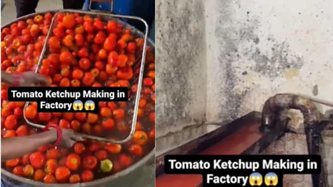 ಟೊಮೆಟೊ ಕೆಚಪ್ ಅಂದ್ರೆ ಇಷ್ಟಾನಾ? ಈ ವಿಡಿಯೋ ನೋಡಿದ್ರೆ ಕೆಚಪ್ ತಿನ್ನಲ್ಲ