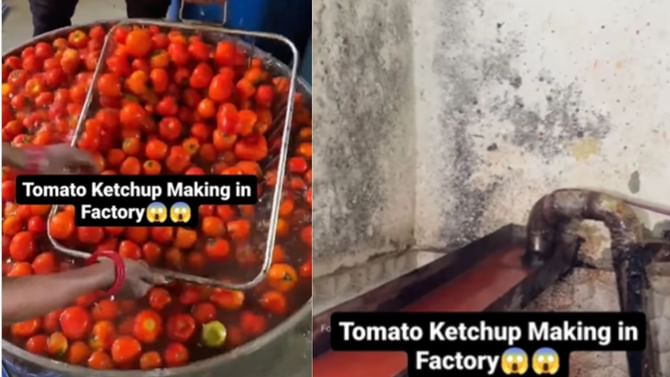 ಟೊಮೆಟೊ ಕೆಚಪ್ ಅಂದ್ರೆ ಇಷ್ಟಾನಾ? ಈ ವಿಡಿಯೋ ನೋಡಿದ್ರೆ ಕೆಚಪ್ ತಿನ್ನಲ್ಲ