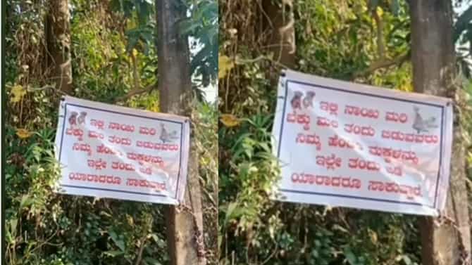 ನಾಯಿ, ಬೆಕ್ಕಿನ ಮರಿಗಳನ್ನು ಇಲ್ಲಿ ತಂದು ಬಿಡುವವರು ಹೀಗೆ ಮಾಡಿ