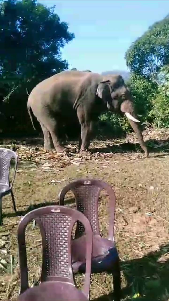 Wild capture operation stop (3)
