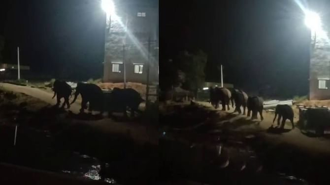 ರಾಮನಗರ: ರಾತ್ರೋರಾತ್ರಿ ಕಬ್ಬಾಳು ಗ್ರಾಮಕ್ಕೆ ನುಗ್ಗಿದ 12 ಕಾಡಾನೆಗಳು