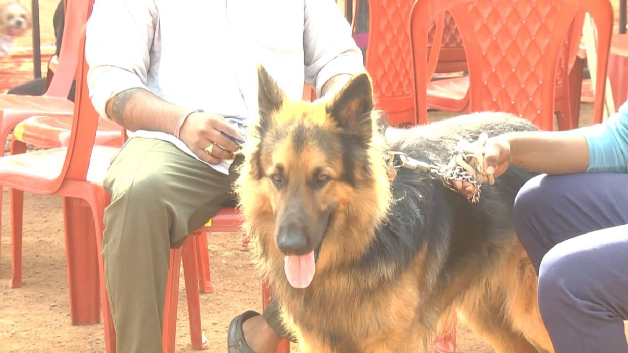 ಪಶು ಪಾಲನಾ ಮತ್ತು ಪಶು ವೈದ್ಯ ಸೇವಾ ಇಲಾಕೆಯಿಂದ ಇದೆ ಮೊದಲ ಸಲ ಬೀದರ್ ಜಿಲ್ಲೆಯಲ್ಲಿ ಶ್ವಾನ ಪ್ರದರ್ಶನ ಆಯೋಜಿಸಲಾಗಿತ್ತು. ಶ್ವಾನ ಪ್ರೀಯರಿಗೆ ಪ್ರೋತ್ಸಾಹ, ಅದಕ್ಕೆ ಬರುವ ರೋಗದ ಬಗ್ಗೆ ಅರಿವು ಮೂಡಿಸುವ ಉದ್ದೇಶದಿಂದ ಶ್ವಾನ ಪ್ರದರ್ಶನ ನಡೆಸಲಾಯ್ತು.