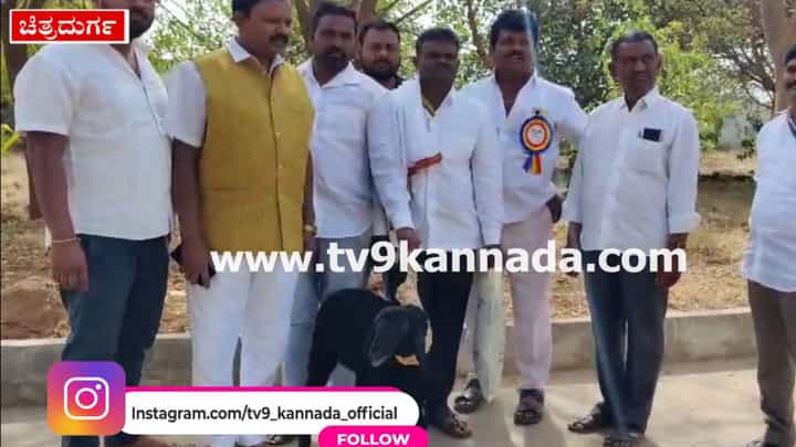 ಚಿತ್ರದುರ್ಗ: ಸಿಎಂಗೆ ಸಾಕಿದ ಕುರಿಯನ್ನ ಗಿಫ್ಟ್ ನೀಡಲು ಬಂದ ಅಭಿಮಾನಿ; ಇಲ್ಲಿದೆ ವಿಡಿಯೋ ಚಿತ್ರದುರ್ಗ: ಸಿಎಂಗೆ ಸಾಕಿದ ಕುರಿಯನ್ನ ಗಿಫ್ಟ್ ನೀಡಲು ಬಂದ ಅಭಿಮಾನಿ; ಇಲ್ಲಿದೆ ವಿಡಿಯೋ