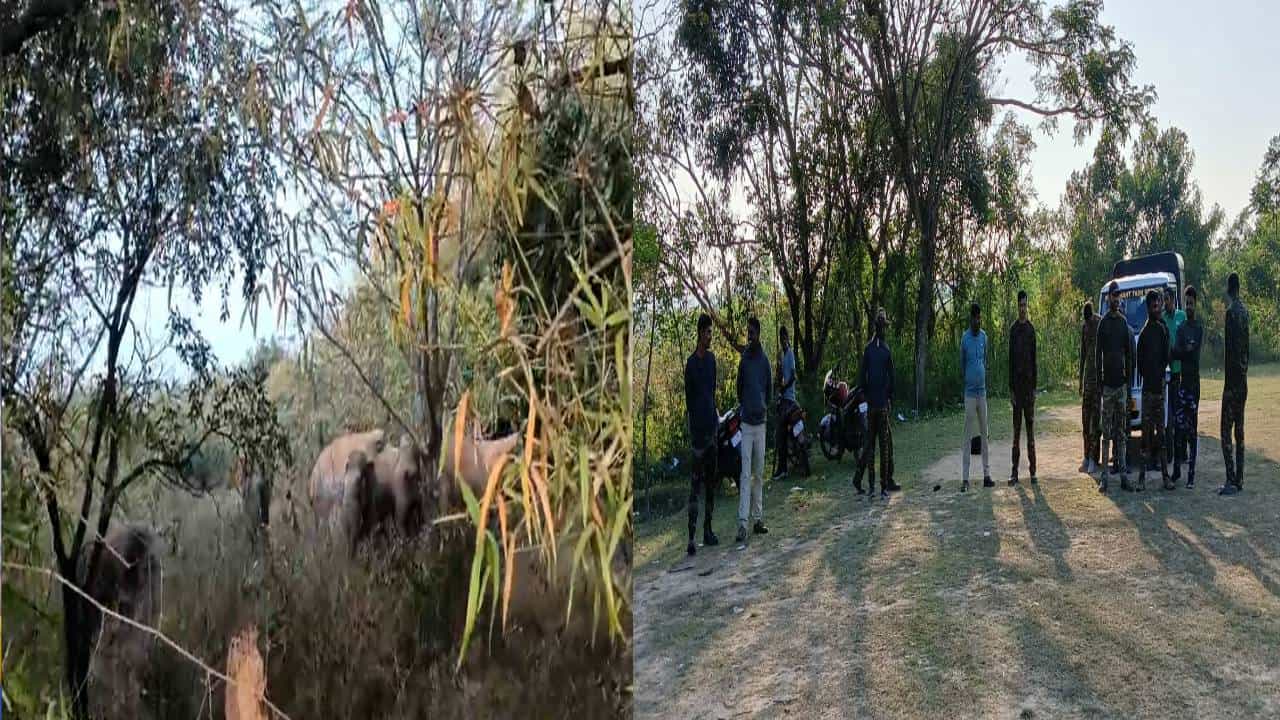 ಚಿಕ್ಕಮಗಳೂರು: ವಸತಿ ಶಾಲೆಯಲ್ಲಿ ಬೀಡುಬಿಟ್ಟ ಕಾಡಾನೆಗಳ ಹಿಂಡು; ಮುಂಜಾಗ್ರತಾ ಕ್ರಮವಾಗಿ 9 ಗ್ರಾಮಗಳಲ್ಲಿ 144 ಸೆಕ್ಷನ್ ಜಾರಿ ಚಿಕ್ಕಮಗಳೂರು: ವಸತಿ ಶಾಲೆಯಲ್ಲಿ ಬೀಡುಬಿಟ್ಟ ಕಾಡಾನೆಗಳ ಹಿಂಡು; ಮುಂಜಾಗ್ರತಾ ಕ್ರಮವಾಗಿ 9 ಗ್ರಾಮಗಳಲ್ಲಿ 144 ಸೆಕ್ಷನ್ ಜಾರಿ