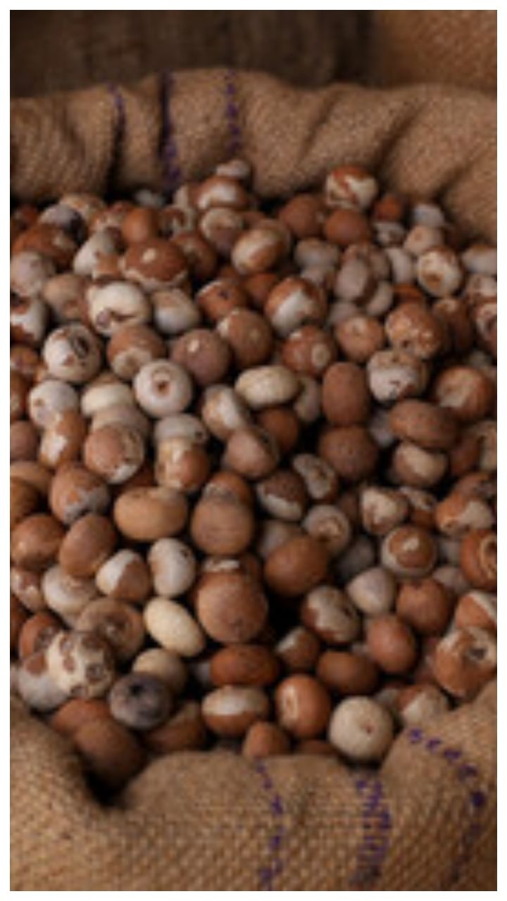 ಚನ್ನಗಿರಿ ಅಡಿಕೆ ಧಾರಣೆ