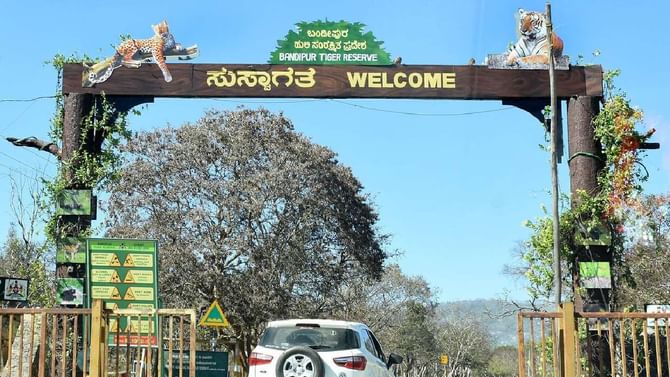 ಪ್ರಧಾನಿ ಮೋದಿ ಬಂದೋದ ಬಳಿಕ ಬದಲಾಯ್ತು ಬಂಡೀಪುರದ ಚಿತ್ರಣ