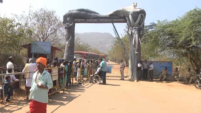 ಚಾಮರಾಜನಗರ: ಹೊಸ ವರ್ಷದ ಮೊದಲ ದಿನ ಬಂಡೀಪುರ ಸಫಾರಿ ಫುಲ್ ರಶ್