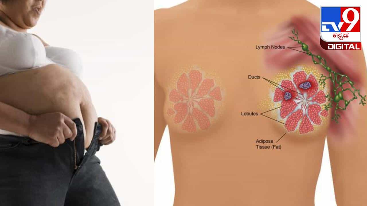 Breast cancer: ಸ್ಥೂಲಕಾಯತೆಯು ಸ್ತನ ಕ್ಯಾನ್ಸರ್ಗೆ ಕಾರಣವಾಗಬಹುದು! Breast cancer: ಸ್ಥೂಲಕಾಯತೆಯು ಸ್ತನ ಕ್ಯಾನ್ಸರ್ಗೆ ಕಾರಣವಾಗಬಹುದು!
