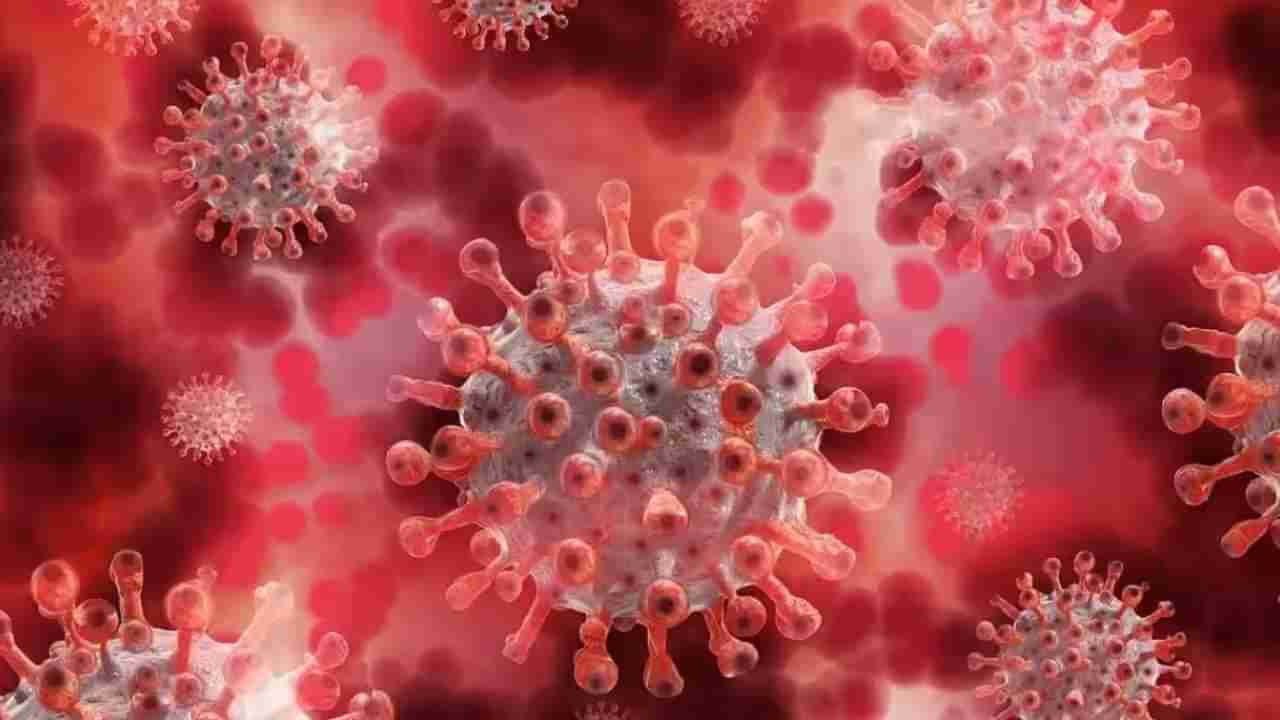 ರಾಜ್ಯದಲ್ಲಿ ಇಂದು 163 ಜನರಿಗೆ ಕೊರೊನಾ: 994 ಜನರಲ್ಲಿ ಸೋಂಕು ಸಕ್ರಿಯ