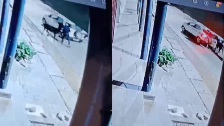 ಐಷಾರಾಮಿ ಕಾರಿನಲ್ಲಿ ಬಂದು ಗುರುತು ಸಿಗದಂತೆ ಮಂಕಿ ಕ್ಯಾಪ್ ಧರಿಸಿ ಗೋವು ಕಳ್ಳತನ ಐಷಾರಾಮಿ ಕಾರಿನಲ್ಲಿ ಬಂದು ಗುರುತು ಸಿಗದಂತೆ ಮಂಕಿ ಕ್ಯಾಪ್ ಧರಿಸಿ ಗೋವು ಕಳ್ಳತನ