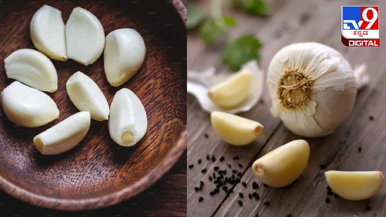 Garlic benefits: ಖಾಲಿ ಹೊಟ್ಟೆಯಲ್ಲಿ ಬೆಳ್ಳುಳ್ಳಿ ತಿಂದರೆ ಸಿಗುವ ಆರೋಗ್ಯ ಪ್ರಯೋಜನಗಳು Garlic benefits: ಖಾಲಿ ಹೊಟ್ಟೆಯಲ್ಲಿ ಬೆಳ್ಳುಳ್ಳಿ ತಿಂದರೆ ಸಿಗುವ ಆರೋಗ್ಯ ಪ್ರಯೋಜನಗಳು