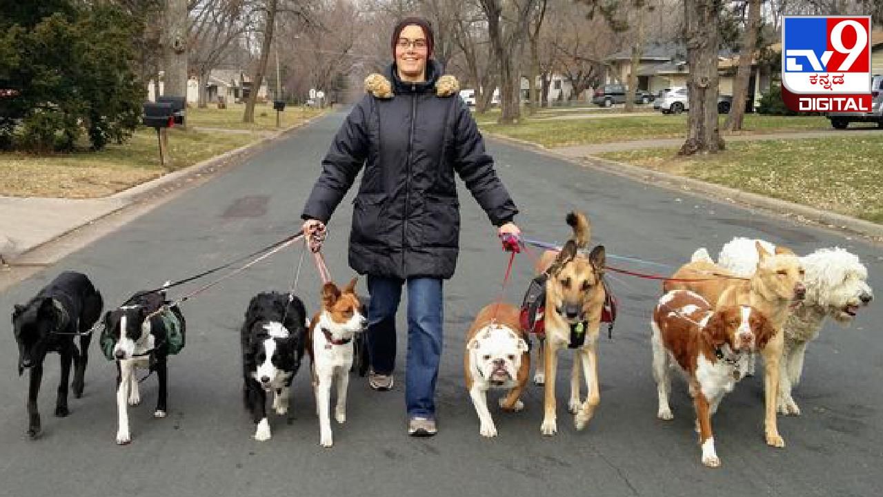 Dog Walker: ಪ್ರತಿದಿನ ನಾಯಿಯನ್ನು ವಾಕಿಂಗ್​​​ ಕರೆದುಕೊಂಡು ಹೋಗುವ ಮೂಲಕ ಲಕ್ಷ ಲಕ್ಷ ಸಂಪಾದಿಸುತ್ತಾಳೆ ಈ ಮಹಿಳೆ