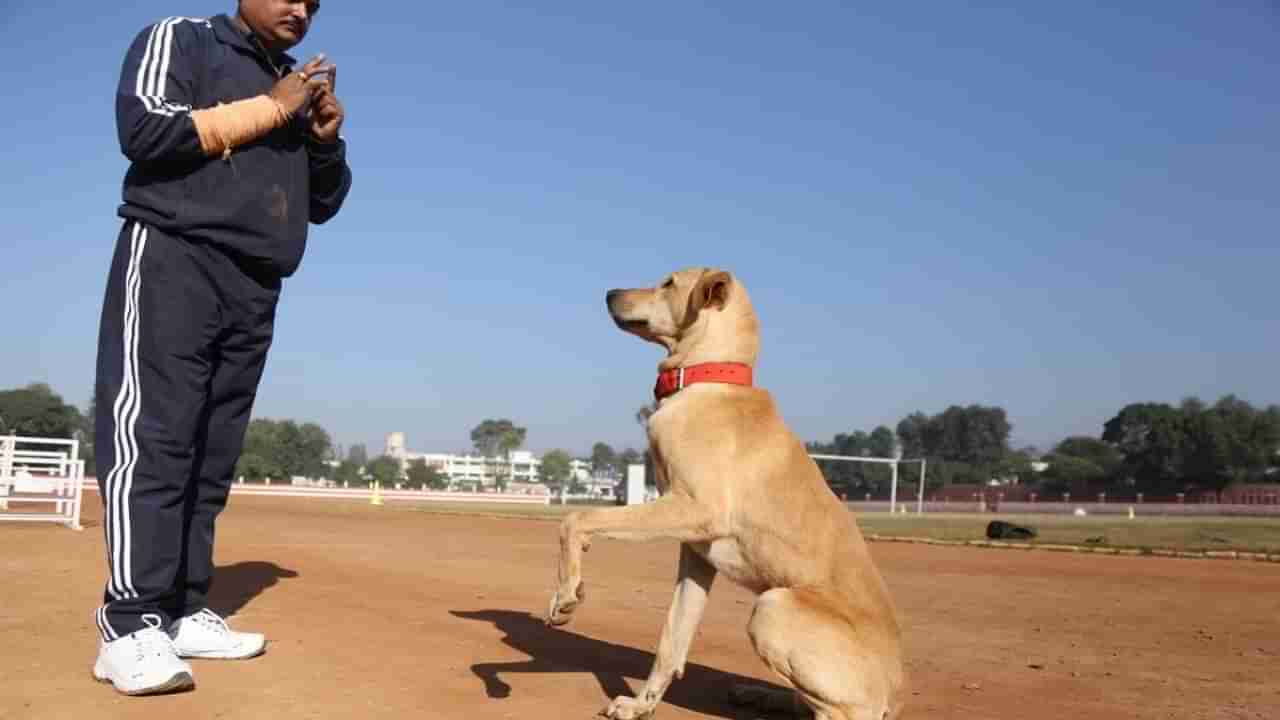 ಗುಜರಾತ್: ನಿವೃತ್ತಿ ಪಡೆದ ಪೊಲೀಸ್ ಶ್ವಾನಗಳಿಗಾಗಿ ವಸತಿ ಸೌಲಭ್ಯ; ದೇಶದಲ್ಲಿಯೇ ಮೊದಲು