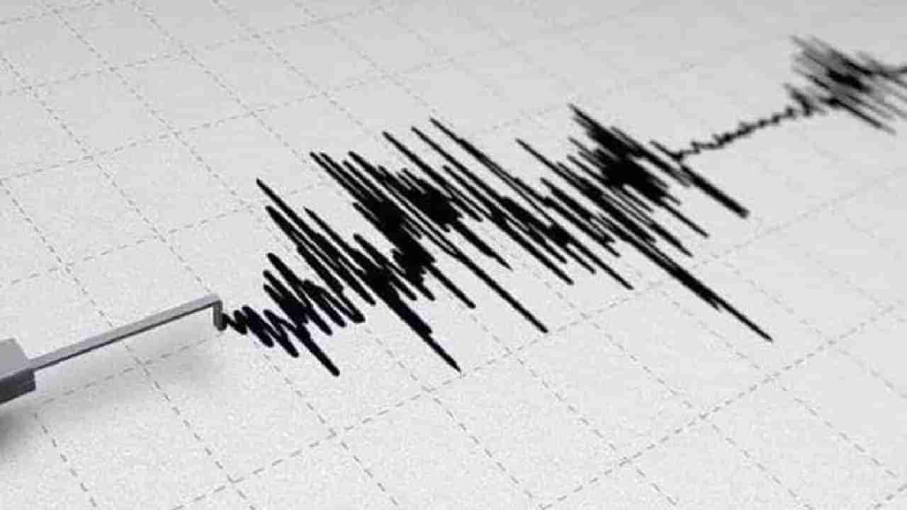 Argentina Earthquake: ಅರ್ಜೆಂಟೀನಾದಲ್ಲಿ 5.6 ತೀವ್ರತೆಯ ಪ್ರಬಲ ಭೂಕಂಪ