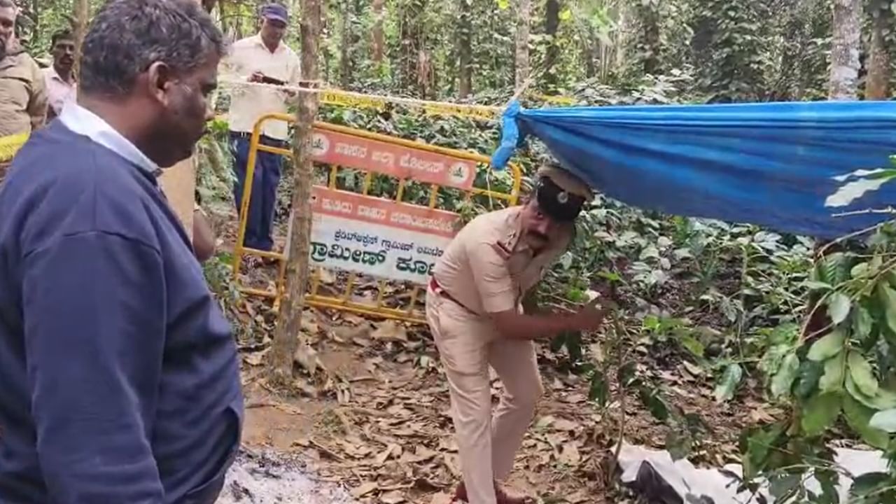 ಹಾಸನದಲ್ಲಿ ಕಾಡಾನೆ ದಾಳಿಗೆ ಮತ್ತೊಂದು ಬಲಿ: ಬೇಲೂರಿನ ಮತ್ತಾವರದಲ್ಲಿ ಘಟನೆ ಹಾಸನದಲ್ಲಿ ಕಾಡಾನೆ ದಾಳಿಗೆ ಮತ್ತೊಂದು ಬಲಿ: ಬೇಲೂರಿನ ಮತ್ತಾವರದಲ್ಲಿ ಘಟನೆ
