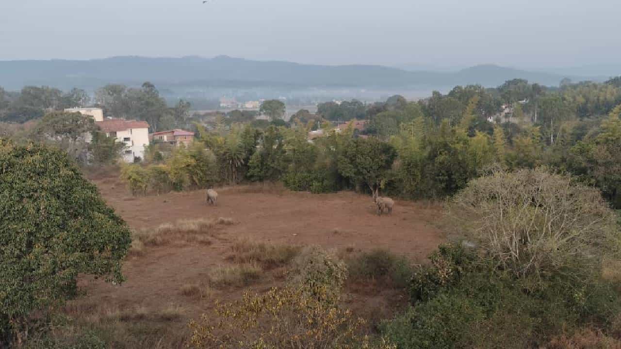 ಕಾಫಿನಾಡಿನ ವಸತಿ ಶಾಲಾ ಆವರಣದಲ್ಲಿ ಬೀಡುಬಿಟ್ಟ ಬೀಟಮ್ಮ ಗ್ಯಾಂಗ್; ವಿದ್ಯಾರ್ಥಿಗಳಿಗೆ ಆಚೆ ಬರದಂತೆ ಸೂಚನೆ ಕಾಫಿನಾಡಿನ ವಸತಿ ಶಾಲಾ ಆವರಣದಲ್ಲಿ ಬೀಡುಬಿಟ್ಟ ಬೀಟಮ್ಮ ಗ್ಯಾಂಗ್; ವಿದ್ಯಾರ್ಥಿಗಳಿಗೆ ಆಚೆ ಬರದಂತೆ ಸೂಚನೆ