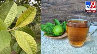 Ayodhya Ram Mandir Prasad: ಅಯೋಧ್ಯೆಯಲ್ಲಿ ಪ್ರಸಾದ ತಯಾರಿಸುವ ಈ ಬಾಣಸಿಗನಿಂದ 12 ವಿಶ್ವ ದಾಖಲೆ