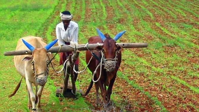 ಪಿಎಂ ಕಿಸಾನ್ ಸ್ಕೀಮ್: ರೈತರಿಗೆ ಸಿಗೋ ಹಣ 8,000 ರೂಗೆ ಹೆಚ್ಚಳ ಸಾಧ್ಯತೆ