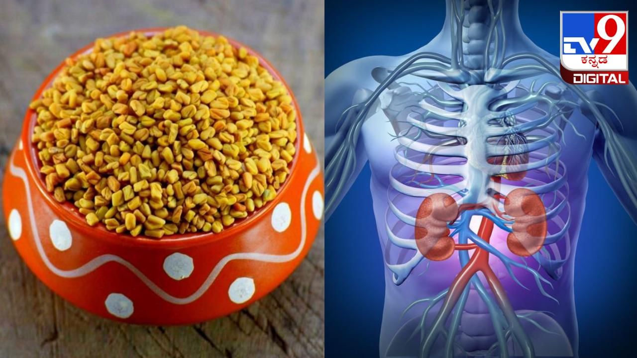 Fenugreek Seed ಗುಣದಲ್ಲಿ ಕಹಿಯಾದರೂ ಈ ಮೆಂತ್ಯ ಕಾಳು ಆರೋಗ್ಯಕ್ಕೆ ಸಿಹಿಯಂತೆ