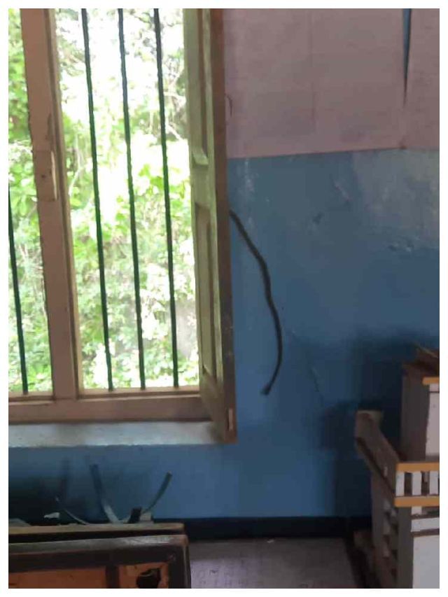 ಕುಸಿದು ಬೀಳುವ ಶಾಲ ಕಟ್ಟಡ, ಆಗಾಗ ಹಾವುಗಳ ದರ್ಶನ