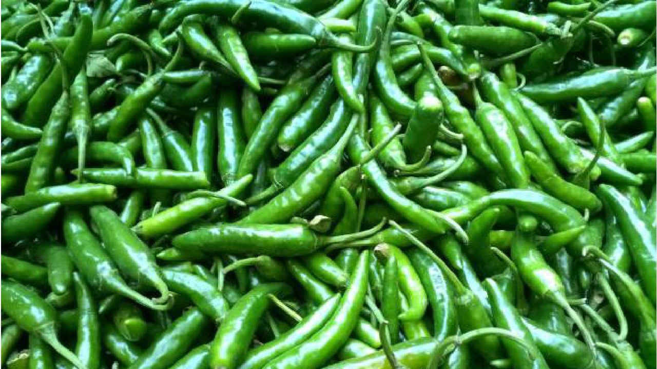 ಹಸಿ ಮೆಣಸಿನಕಾಯಿ ತಿನ್ನುವುದರಿಂದಾಗುವ ಪ್ರಯೋಜನಗಳೇನು? Kannada News Health