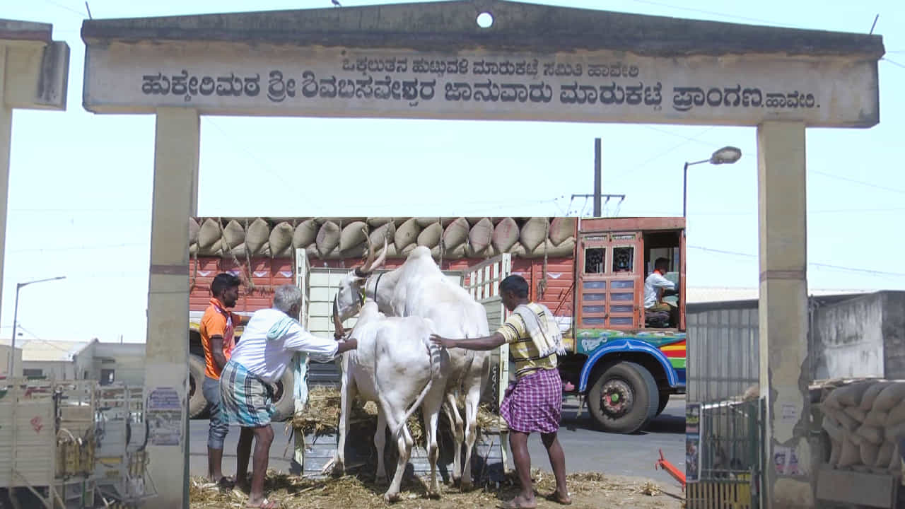 ಸಾಲಗಾರರ ಕಾಟಕ್ಕೆ ಹಾವೇರಿ ಸಂತೆಯಲ್ಲಿ ಜಾನುವಾರುಗಳನ್ನು ಮಾರುತ್ತಿರುವ ರೈತರು ಸಾಲಗಾರರ ಕಾಟಕ್ಕೆ ಹಾವೇರಿ ಸಂತೆಯಲ್ಲಿ ಜಾನುವಾರುಗಳನ್ನು ಮಾರುತ್ತಿರುವ ರೈತರು