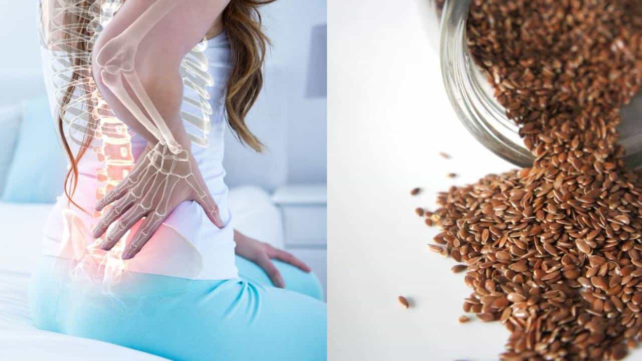 Bone Health: ಮೂಳೆಯ ಆರೋಗ್ಯ ಕಾಪಾಡಿಕೊಳ್ಳಲು ಆಹಾರದಲ್ಲಿ ಅಗಸೆ ಬೀಜ ಸೇರಿಸಿ Bone Health: ಮೂಳೆಯ ಆರೋಗ್ಯ ಕಾಪಾಡಿಕೊಳ್ಳಲು ಆಹಾರದಲ್ಲಿ ಅಗಸೆ ಬೀಜ ಸೇರಿಸಿ