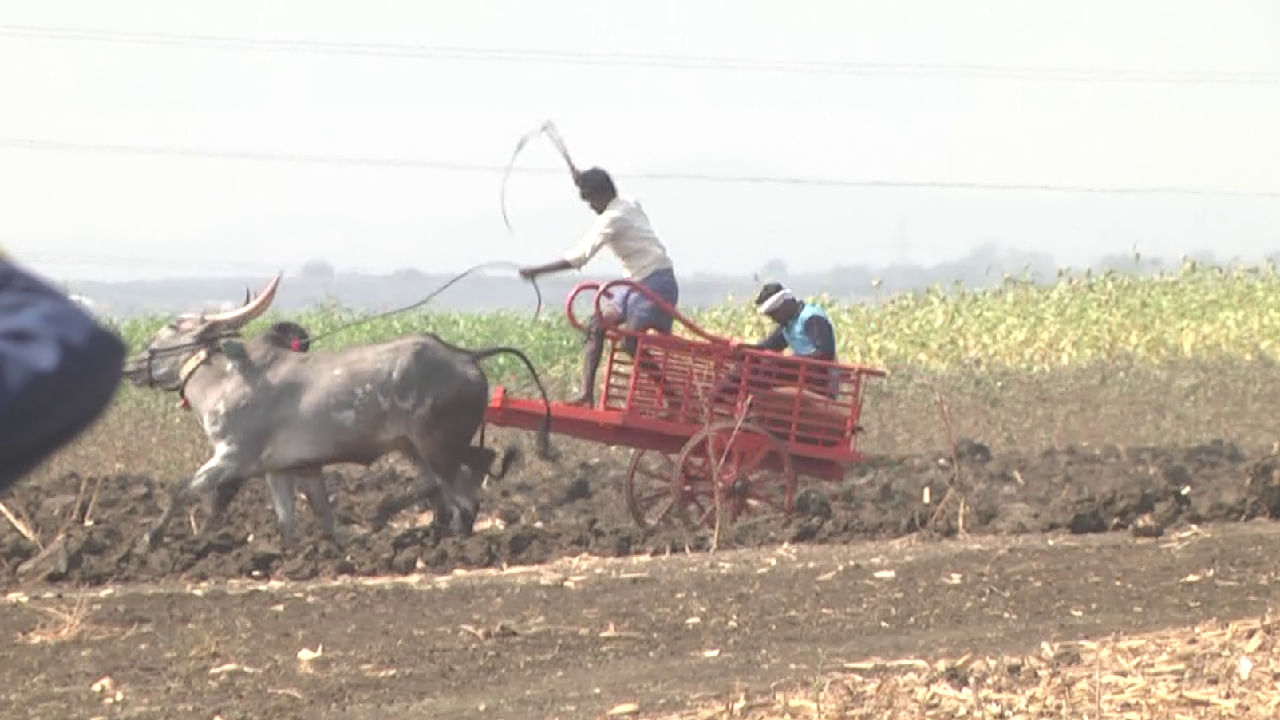 Bullock Cart Race: ಹಾವೇರಿಯಲ್ಲಿ ಖಾಲಿ ಗಾಡಾ ಓಟದ ಝಲಕ್ ಇಲ್ಲಿದೆ ನೋಡಿ