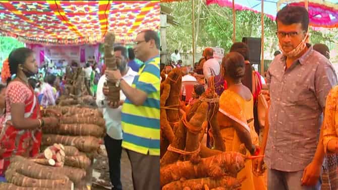 ಜೋಯಿಡಾ ಗೆಣಸು ಮೇಳದ ವೈಭವ: ಗಡ್ಡೆ ಗೆಣಸು ನೂರಾರು, ಪ್ರಯೋಜನಗಳು ಹಲವಾರು